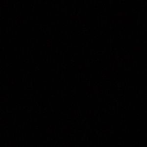 Meet your Posher, Bryant